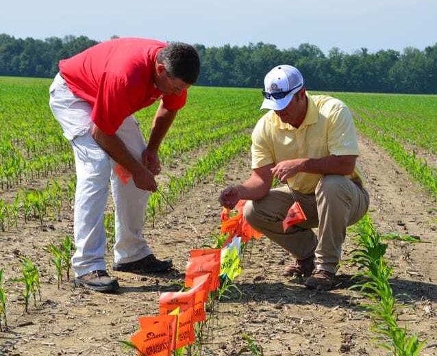 MPS plant image