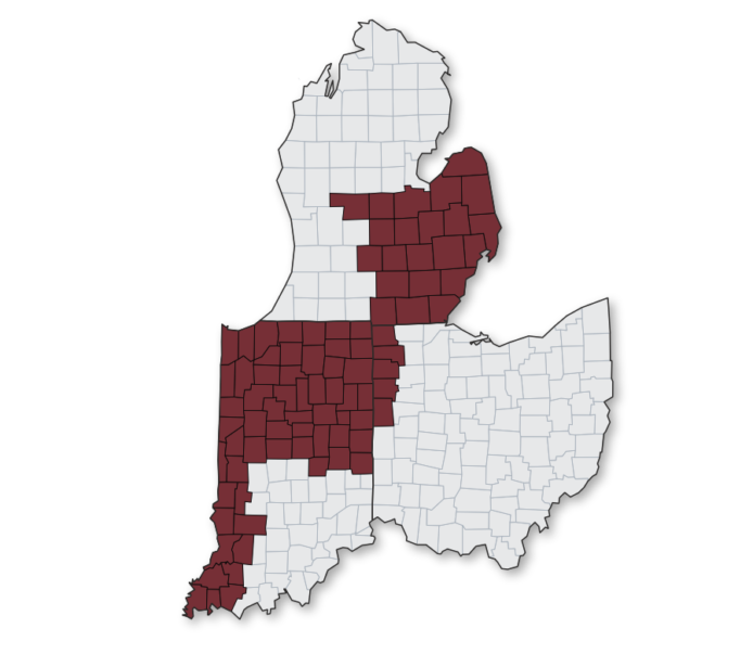 Mc Killip Map