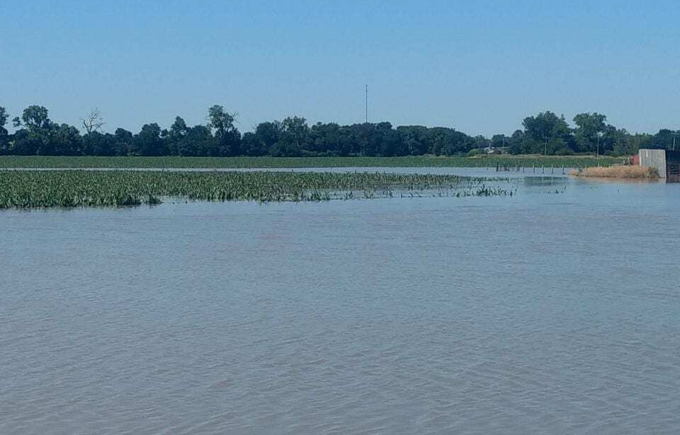 Crop survival in flooded fields