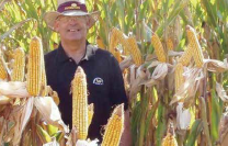 Regional seed company spotlight: AgVenture east coast seed