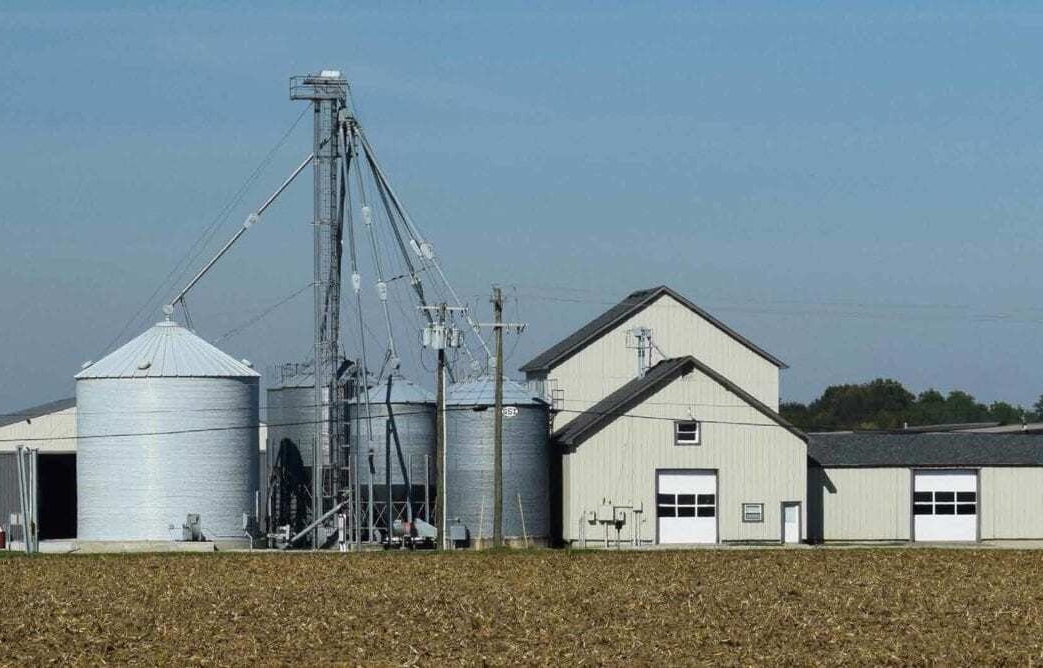 Regional seed company spotlight: gray’s seed
