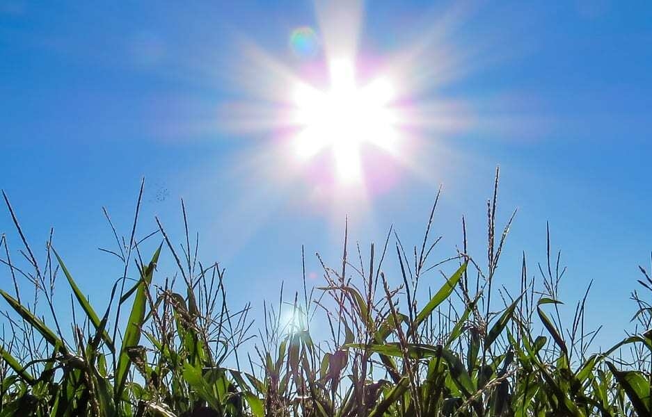 Don’t sweat the heat