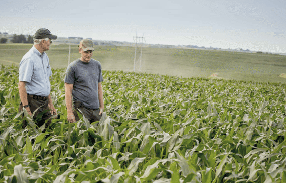 The land market on edge