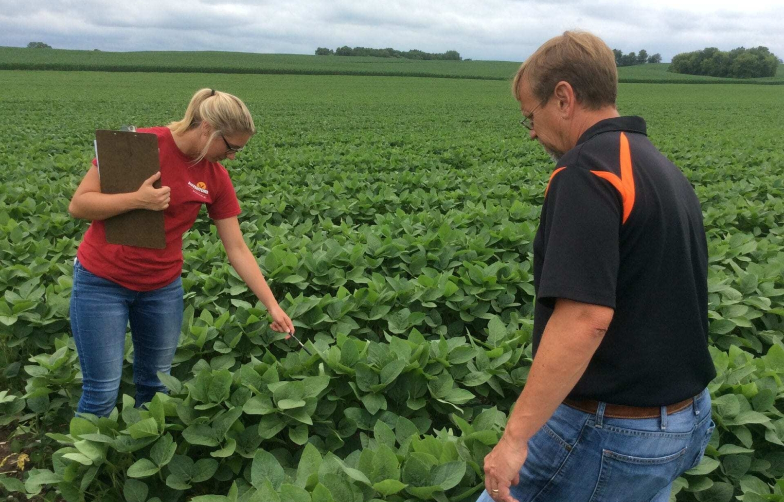 Extra attention to monitoring crops