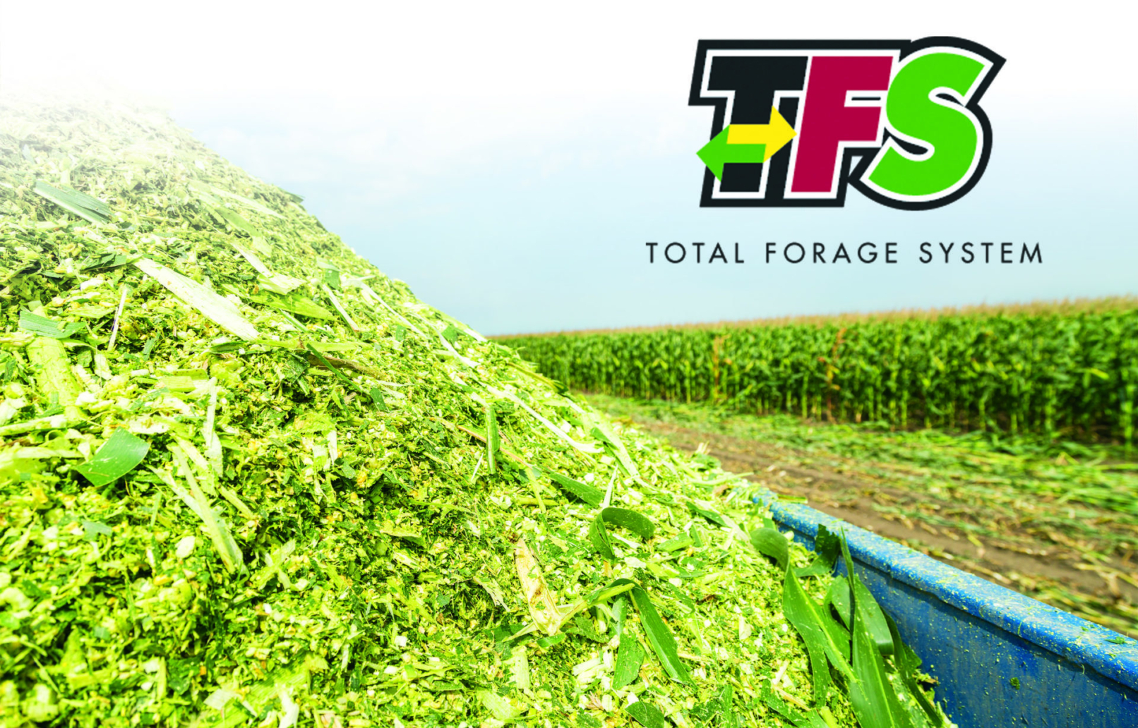 Harvest strategies for silage