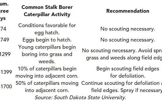 Stalk borer movement
