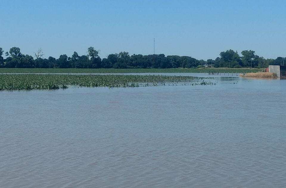 Crop survival in flooded fields