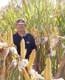 Regional seed company spotlight: AgVenture east coast seed