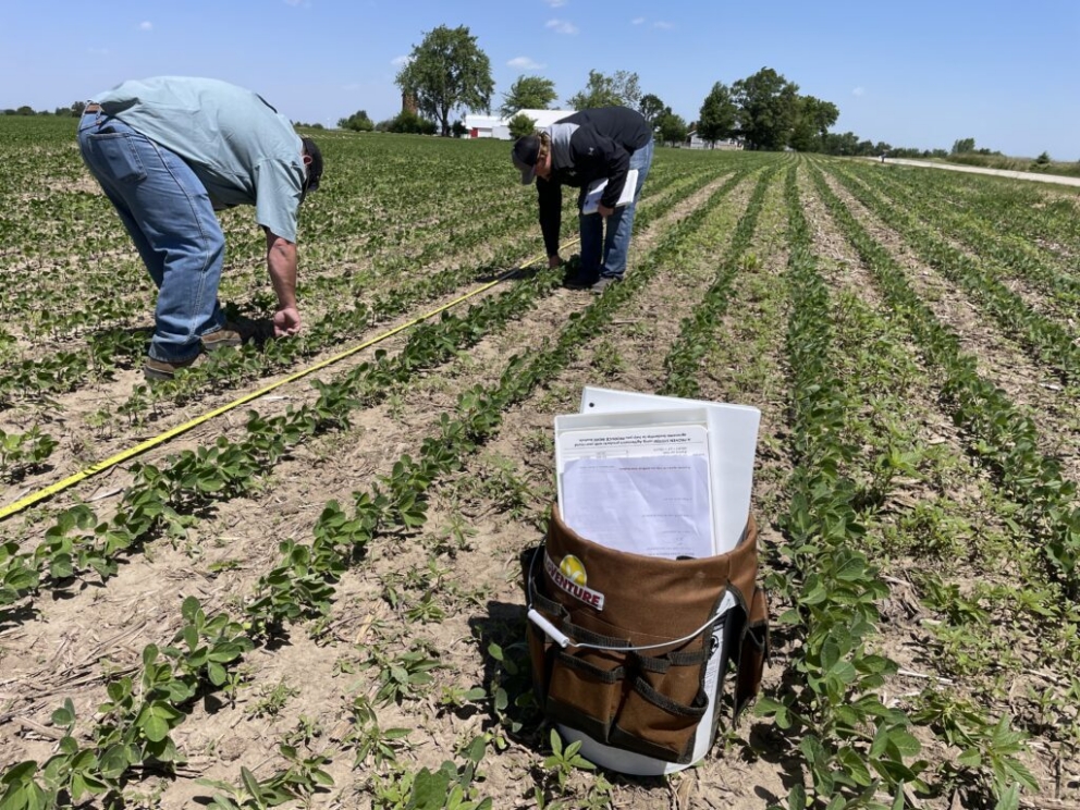 Early Season Soybean Concerns – Part 3
