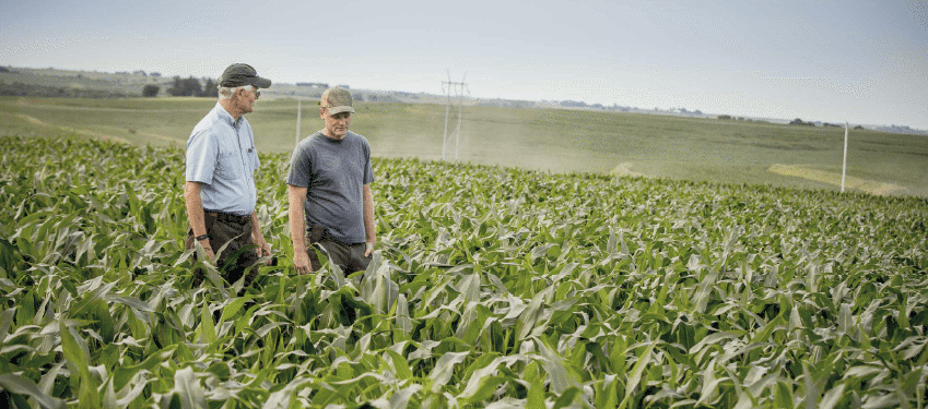 The land market on edge