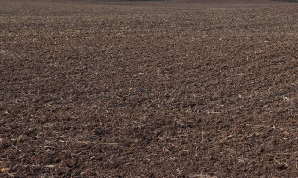 The Top 5 Factors to Producing a Top Crop