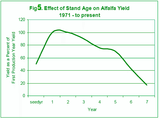 Consider late summer alfalfa seeding