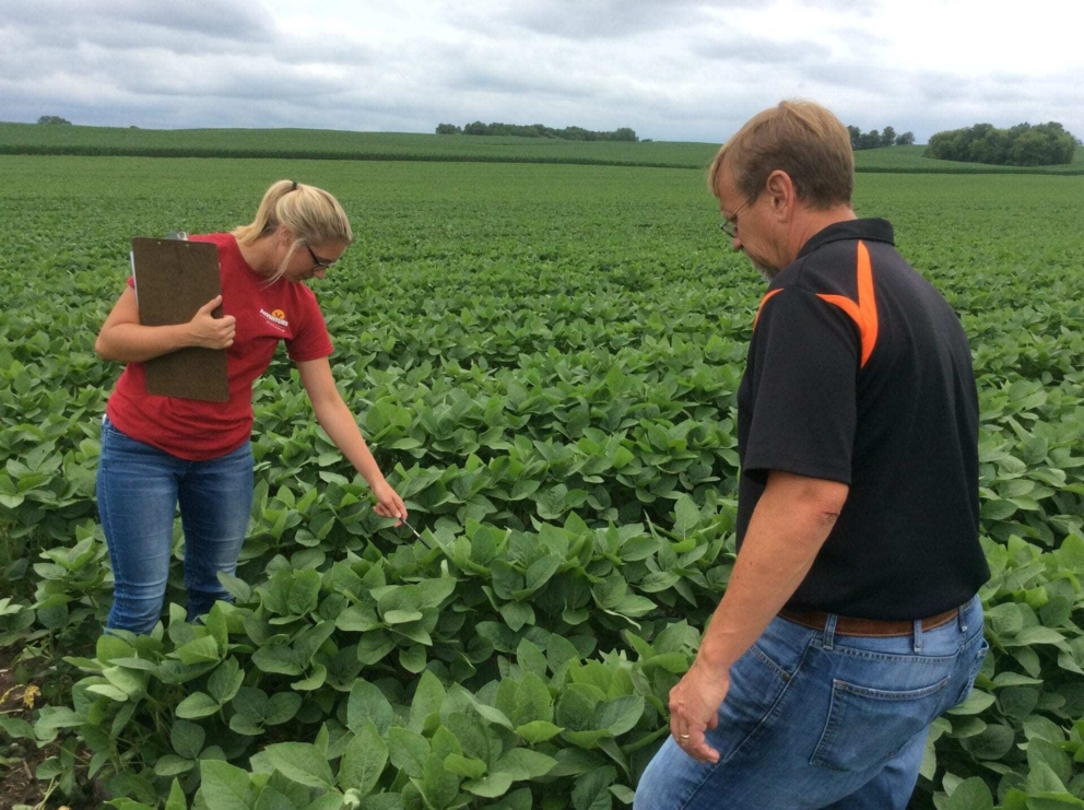 Extra attention to monitoring crops