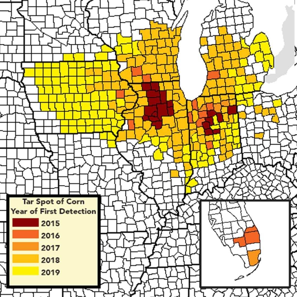 Tar spot continues to spread across the midwest