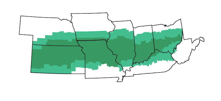 DM37F85XF Area of Adaptability