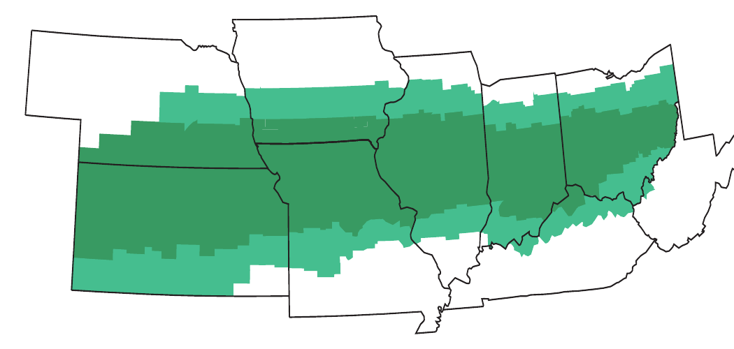 DM33E55 Area of Adaptability