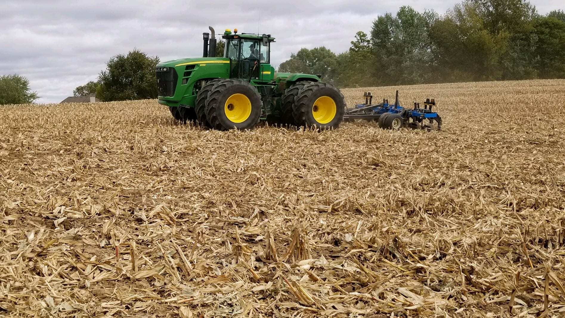Spring tillage can have a significant impact on planting accuracy and uniform emergence.