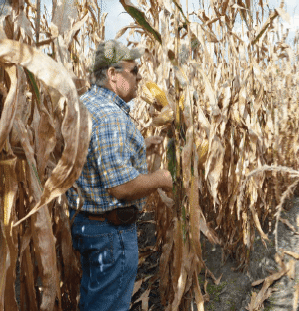 East Coast Seed | AgVenture Regional Seed Company | Earl Passwaters | Mark Davis