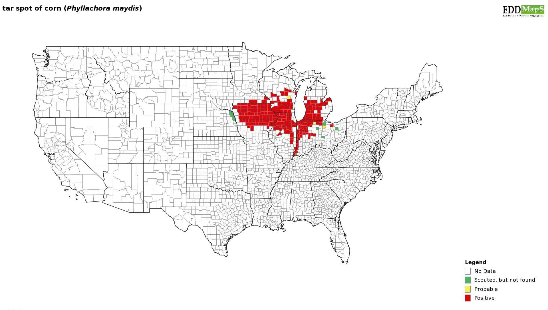 University research shows that tar spot has spread across much of the state of Iowa as of October 10, 2019