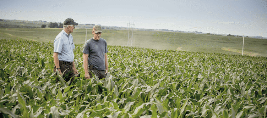 The Land Market on Edge | Forward Progress | AgVenture | Farmers National Company