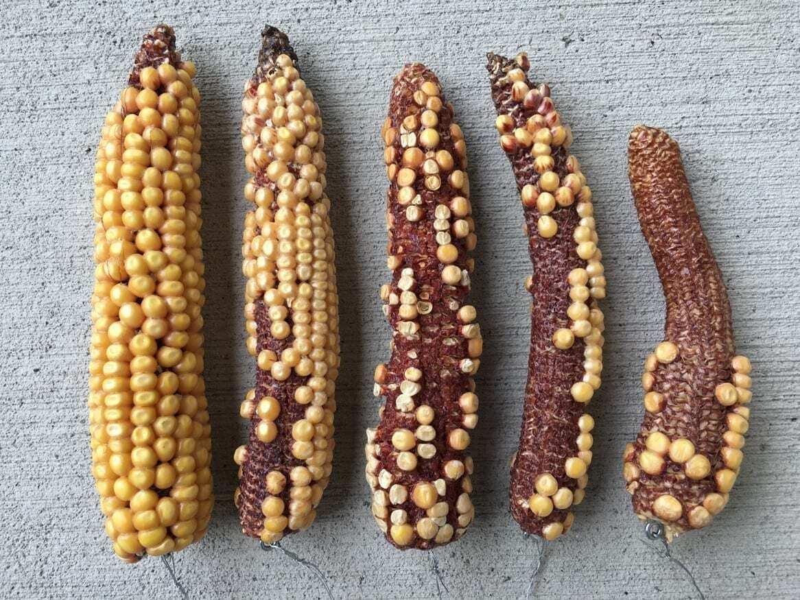Kernel jumbling and poor kernel set