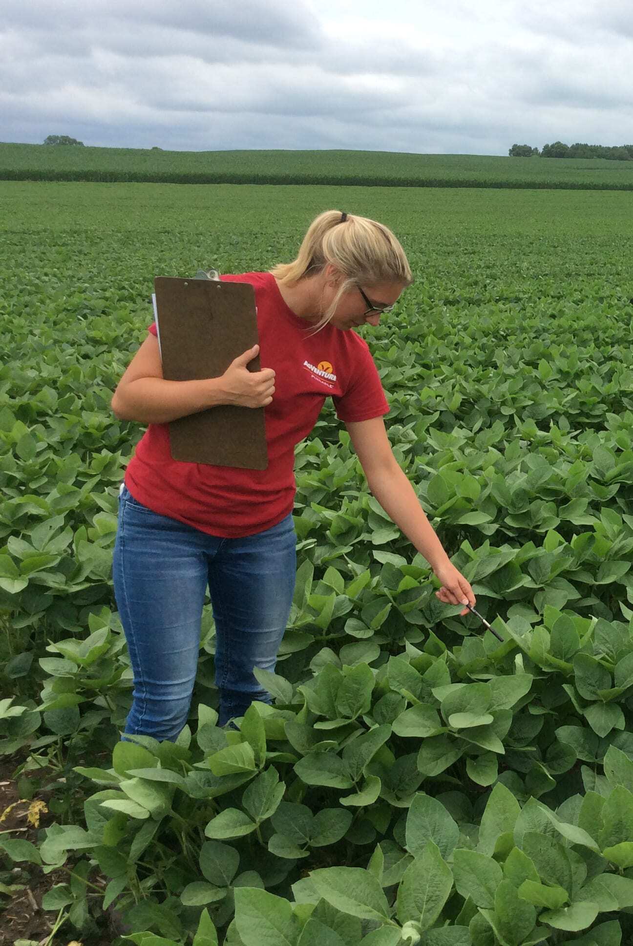 AgVenture Yield Specialists have a tremendous amount of knowledge to help you achieve increased production.