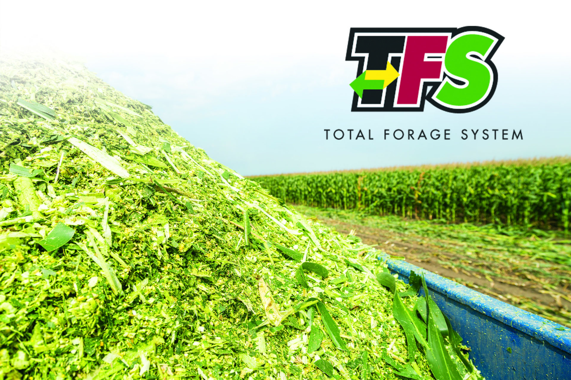 AgVenture Total Forage System provides high-performance corn silage products.