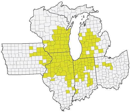 Counties with confirmed incidence of tar spot as of January 2019 (Kleczewski et al., 2019).