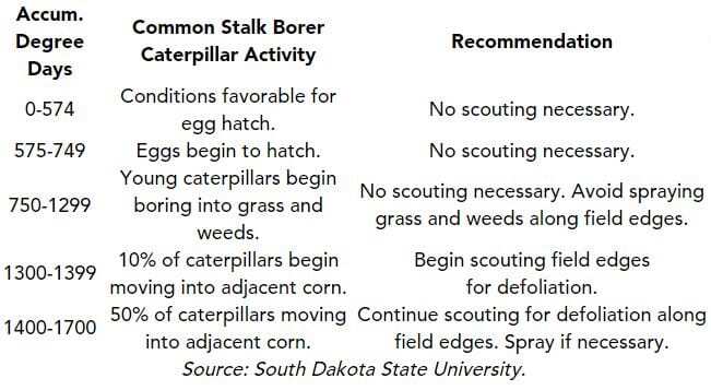 stalk borer chart